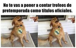 Enlace a Demasiado tarde