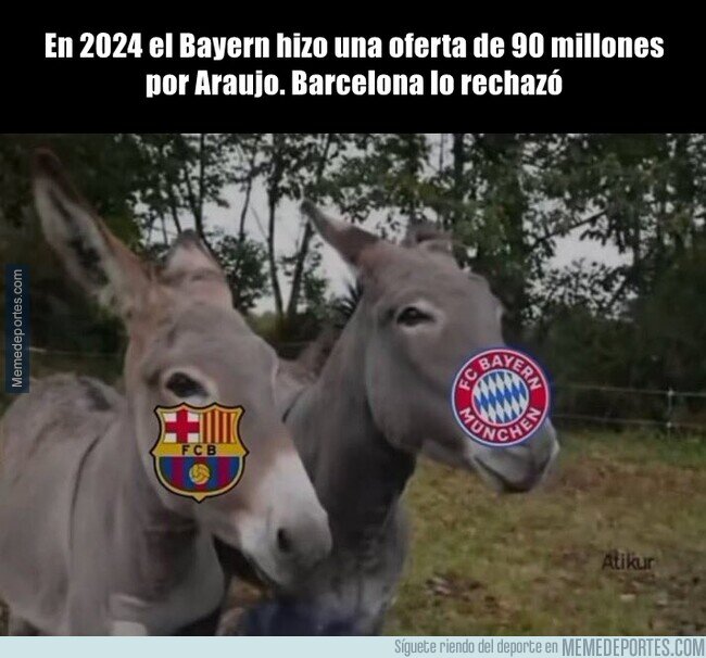 1244786 - De verdad que eran tontos