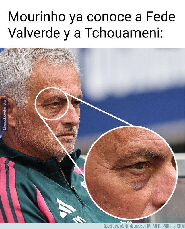 1244899 - Mou apareció con un ojo morado