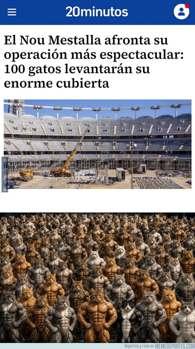 1245181 - Lo que me imaginé al leer esta noticia