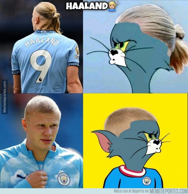 1245216 - ¿Por qué, Erling?