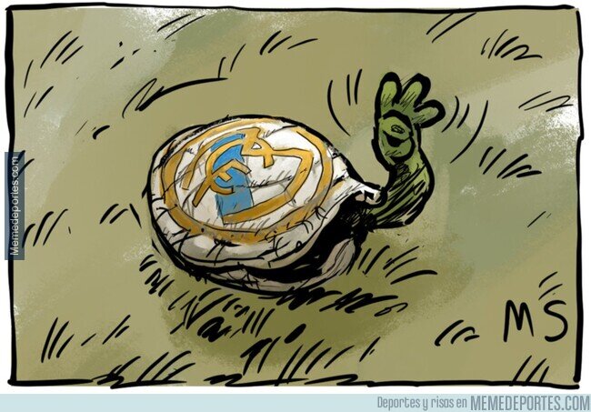 1245276 - La tortuga hizo tres, por @yesnocse