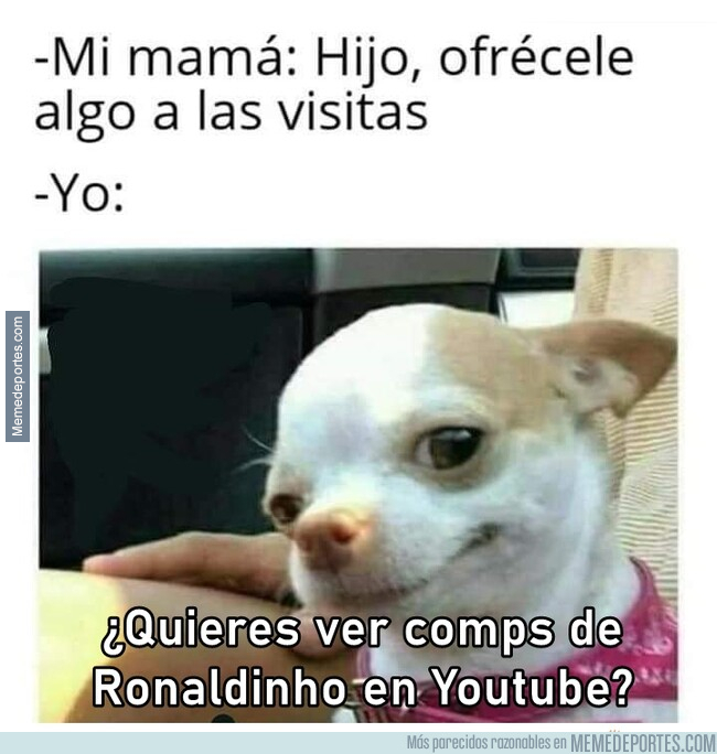 1245389 - Pero qué excelente anfitrión