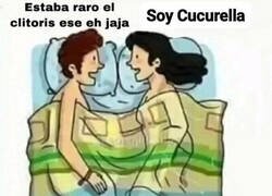 Enlace a Ta raro...