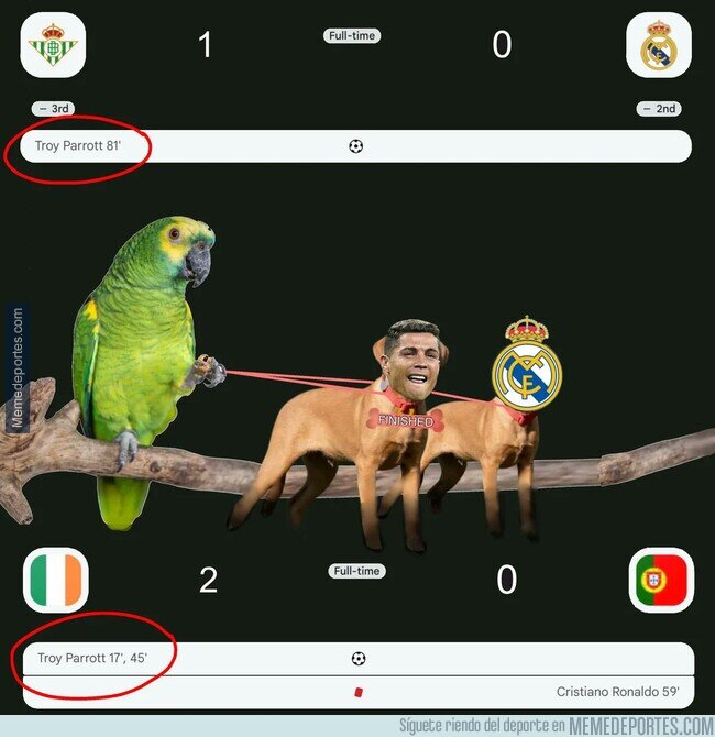 1245691 - Cómo padrea ese loro