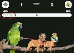 Enlace a Cómo padrea ese loro