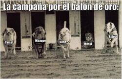 Enlace a Hay uno que no necesita campañas