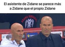 Enlace a Zidane se está clonando