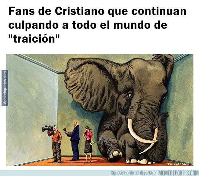 1246711 - El gran elefante en la habitación