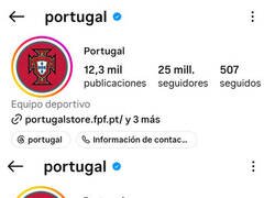 Enlace a Portugal perdió más de 2 millones de seguidores tras la marcha de Cristiano