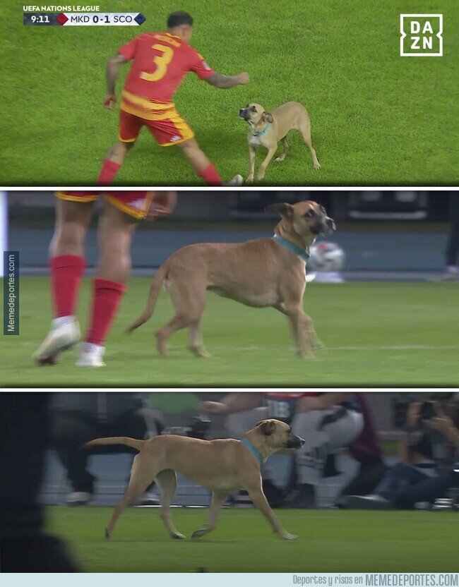 1246755 - Cuando Scooby Doo se cuela en tu partido