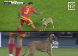 Enlace a Cuando Scooby Doo se cuela en tu partido