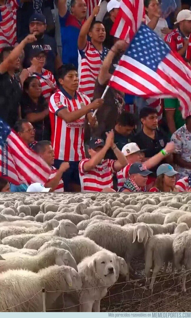 1246779 - No puedo creer que nadie se dió cuenta
