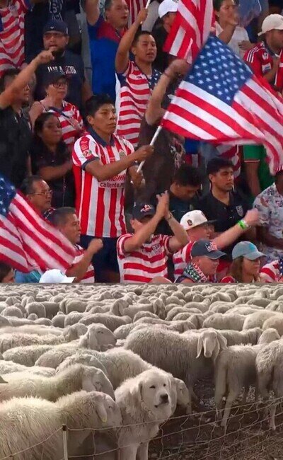 Mejor de ayer
