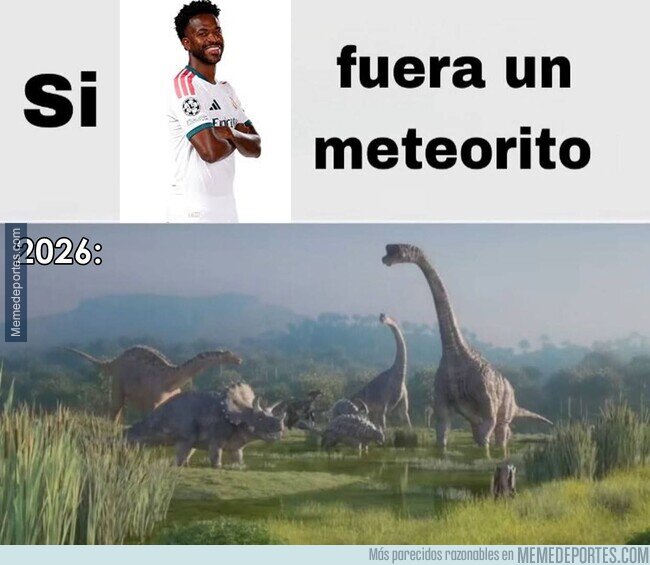 1246783 - Si el Vini fuera un meteorito