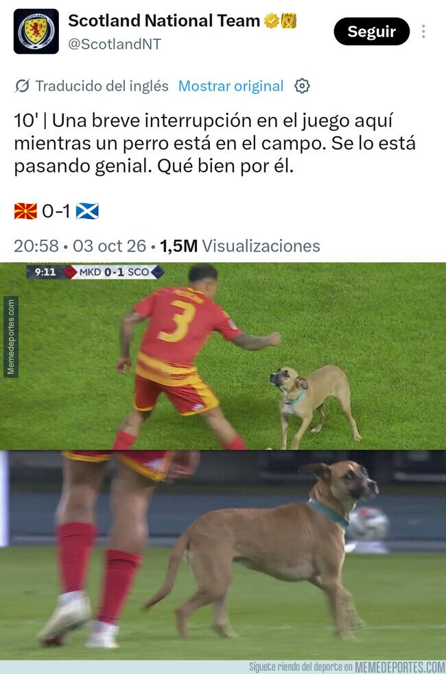 1246799 - El mejor tuit de este parón