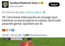 Enlace a El mejor tuit de este parón