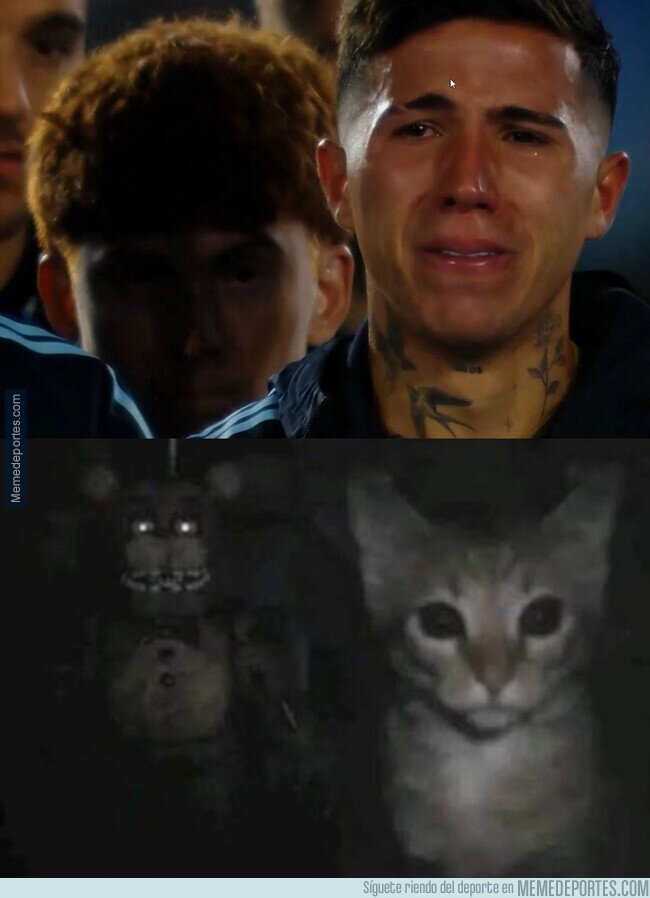 1246968 - Parecidos razonables