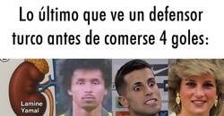 Enlace a Fue una apisonadora