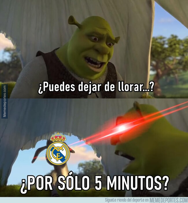 1247264 - Parecen estar peleados con el mundo