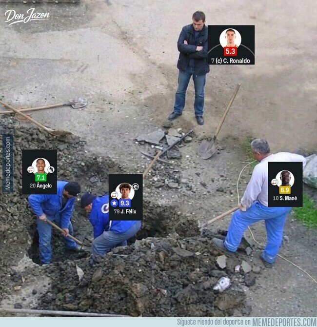 1247454 - La última labor del bicho