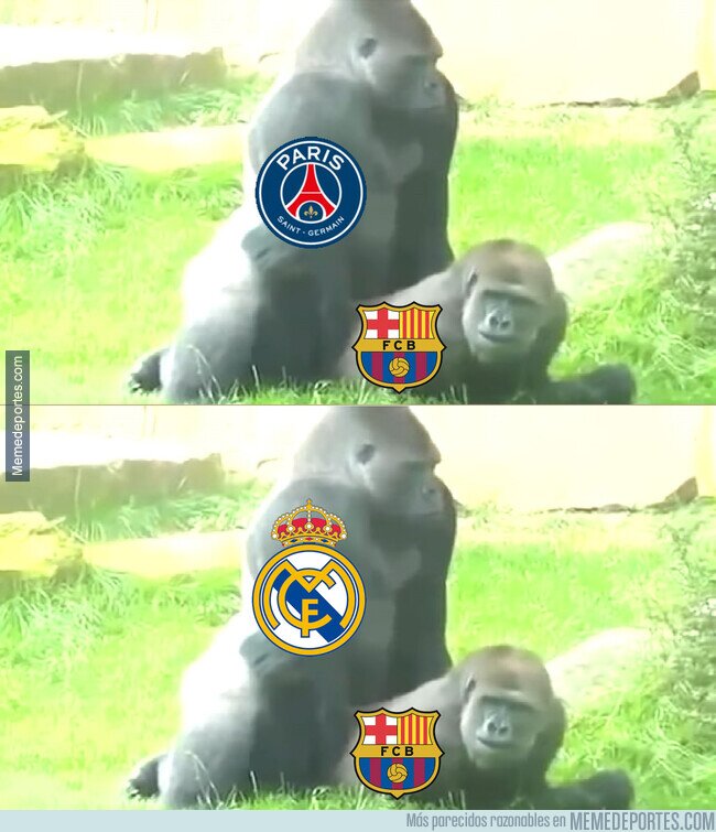 1247593 - Resumén de la semana culé