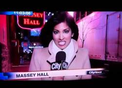 Enlace a Presentadora a la que le cae el moquillo en directo