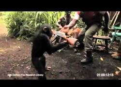 Enlace a ¿Problem, humanos?