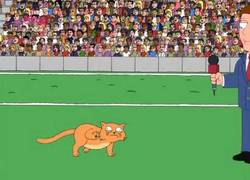 Enlace a Padre de Familia - Carrera de gatos retrasados