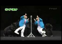 Enlace a Japos imitando animes