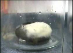 Enlace a ¿Volverás a McDonalds después de esto?