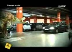 Enlace a La broma del dinosaurio