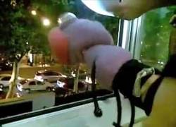 Enlace a Trancas y Barrancas al natural