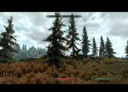 Enlace a Skyrim: cada día más raro