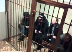 Enlace a Si tu compañero de celda se pone pesado