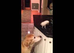 Enlace a Esto sí es trabajo en equipo