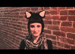 Enlace a Orejas robóticas que reaccionan con tus gestos