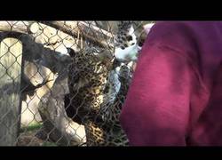 Enlace a Eso te pasa por tenerlo encerrado