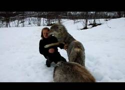 Enlace a Lobos enamorados