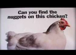Enlace a ¿De qué parte del pollo son los nuggets?