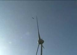 Enlace a Energías renovables asesinando aves