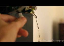 Enlace a Alucinante efecto óptico mezclando música y agua