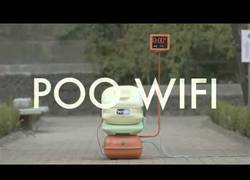 Enlace a Poo Wifi, el mejor invento del mundo