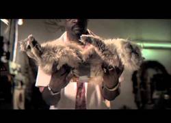 Enlace a Energía gratis gracias a Murphy