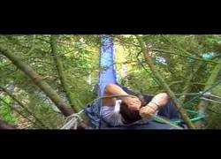 Enlace a ¡Todos queremos uno así!