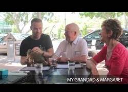 Enlace a Broma de la peluca de su propio pelo