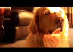 Enlace a ¡No caigas en la tentación!