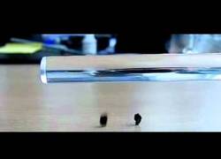 Enlace a Científicos alemanes crean el material más ligero del mundo