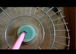 Enlace a Psicodelia veraniega