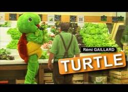 Enlace a Lo nuevo de Rémi Gaillard